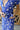 Close up view of model wearing the Summertime Blues Maxi Dress that features royal blue fabric with a white floral print, maxi length, a slit on the side, a front tie closure, a surplice neckline and short sleeves