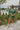 Frontal view of the More Than Enough Romper that features a green corduroy material, a collar neck, a surplice front, a long sleeve with a button, a front zipper, pockets, and pleating on the legs.