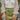 Close-up front view of model wearing the Loved You First Corduroy Skort that has green corduroy with a front zipper closure, belt loops, front pockets, faux back pockets, and a front skirt overlay.