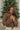 Front view of model wearing the Next Adventure Puffer Jacket in Brown that has a brown nylon material, a puffer design, a long sleeve, a zip-up front, and front pockets. 