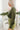 Side view of model wearing the Love Letter Cropped Satin Top that has olive green satin fabric, a collared surplice neckline with a snap closure, a cropped waist with an elastic back, and long sleeves with buttoned cuffs.