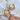 The Oh Honey Earring is a dangle style earring featuring a honey comb design with a gold outlined bee with a white fill color.