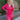 Front view of model wearing the New Look Midi Dress, that has pink satin fabric with a ruched midi-length skirt, a v-neckline, 3/4 length sleeves with ruching at the wrist, a back zipper and hook closure with a keyhole cutout