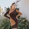 Front view of the Take Me to The Disco Dress features brown and camel color-block, ribbed fabric, mini length, high neckline, slight open back with a tie closure and long sleeves.