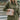 The Crystal Clear Purse is a clear purse that can be worn as a crossbody or shoulder purse, featuring a gold chain and a clasp closure.