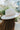 The One Way Hat -  back view