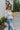 Side view of model wearing the Down To The Basics Bodysuit, which features soft double-layer knit fabric, fitted long sleeves, a round neckline, and a cheeky bottom with snap closures. Worn with green skirt