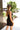 Back view of model wearing the Always A Classic Dress, which features a black chiffon material, a straight neckline, a sleeveless design with a one shoulder thin strap, a twisted knot detail at the waist, and a mini length