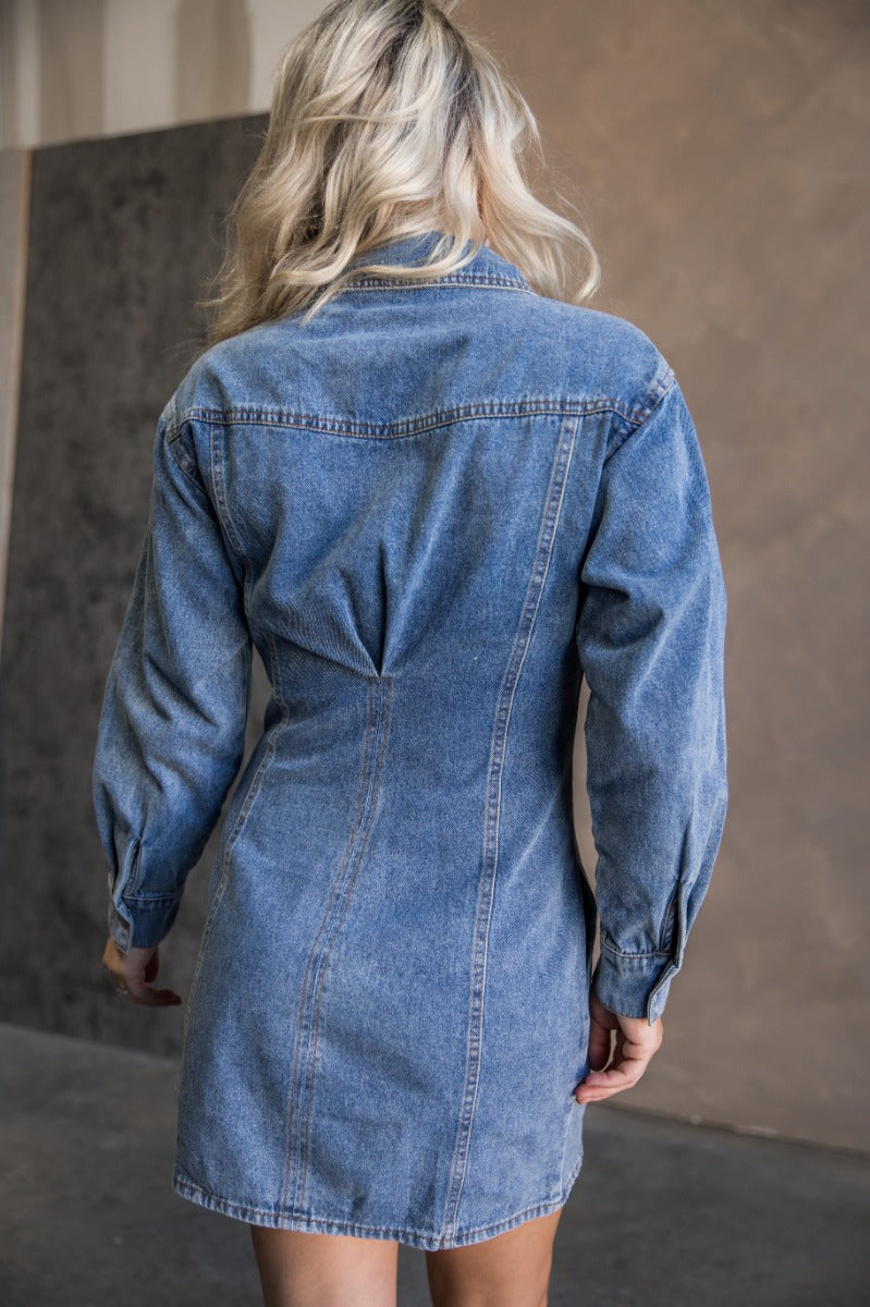 Long Sleeve Denim Dress – Tessa Blue Mini Button-Up Lizard Thicket