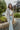 Front view of model wearing The Ready to Go Shacket which features color-blocked grey and tan corduroy fabric, a button-up front with a collared neckline, long sleeves with buttoned wrists, front chest pockets, and side pockets.