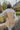Back view of model wearing The Ready to Go Shacket which features color-blocked grey and tan corduroy fabric, a button-up front with a collared neckline, long sleeves with buttoned wrists, front chest pockets, and side pockets.