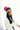 Frontal view of model wearing the Stay Cozy Beanie in Black, that features black sherpa fabric, yellow trim, and a pink pom pom.